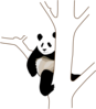 Giant Panda In A Tree Clip Art